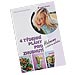 4t�denn� pl�ny pro zhubnut� (Thomas Ellrott, Birgit Ellrott)
