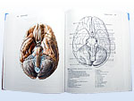 Anatomie 3 (Radom�r �ih�k)