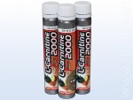L-Carnitine 2000 (25 ml)