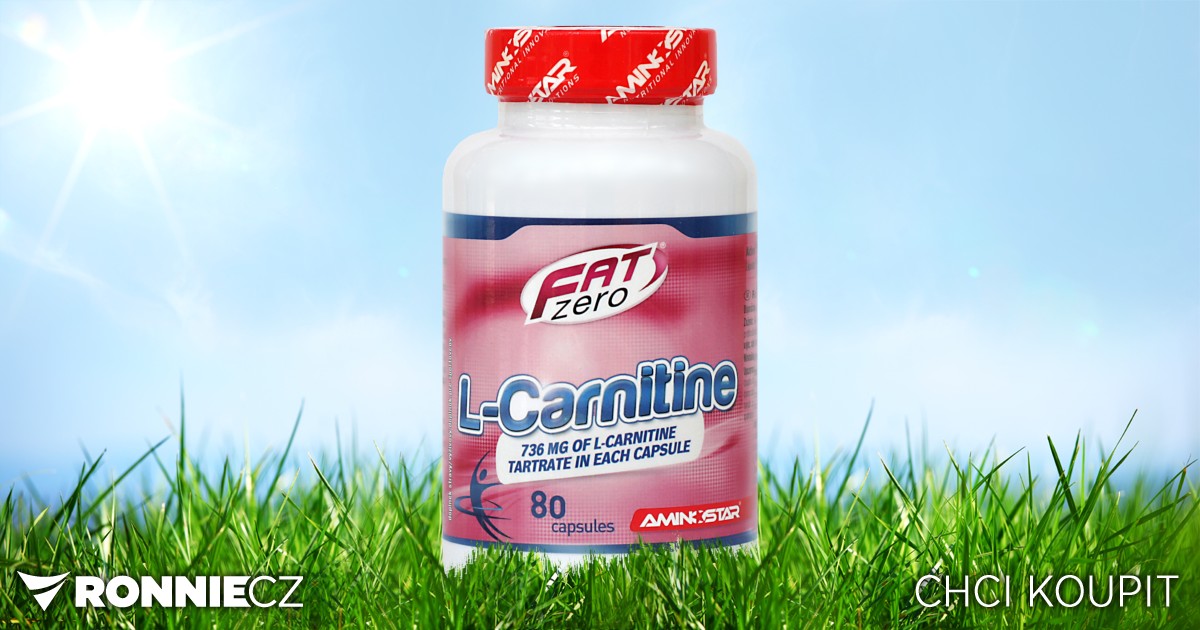 l-carnitine   L CARNITINE + PROBIO CLA 45g  Burn 