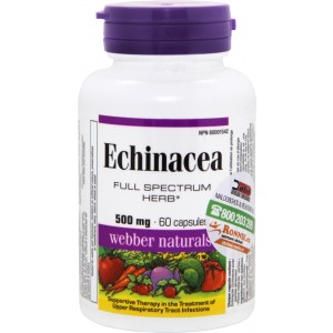 Echinacea (Full Spectrum Herb) (Webber Naturals)
