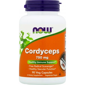 Cordyceps (Now)