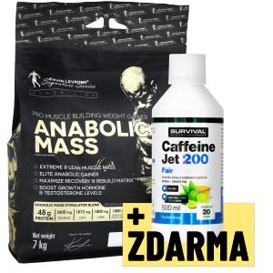 Levrone Mass + Caffeine Jet (500 ml) ZDARMA! (Kevin Levrone Signature Series)