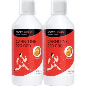 Carnitine 220000 - akce 1+1 (SportWave)